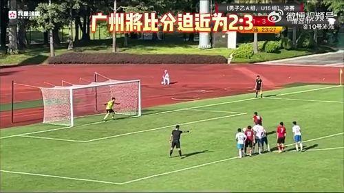 辽宁爆料假球视频最新,揭秘假球视频，足球界风云再起