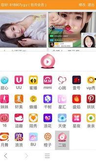 盒子在线观看免费,免费畅享视听盛宴