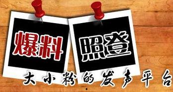 新闻爆料小编,揭秘新闻背后惊人真相