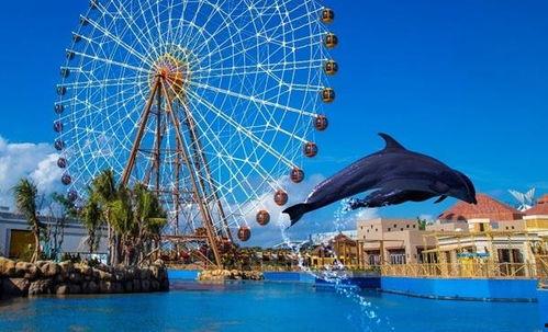 海洋明星感悟,探寻深海奥秘的感悟与启示