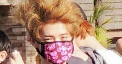 吃瓜娱乐圈鹿晗图片高清,娱乐圈瓜田里的清新风景