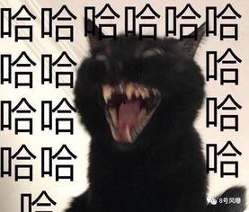 娱乐圈吃瓜吴京是真的吗