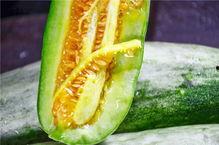 网红娱乐吃瓜,吃瓜群众的热议焦点