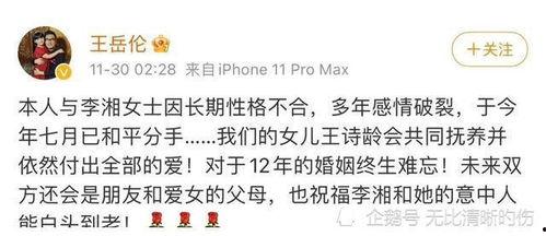 娱乐吃瓜酱年度报告