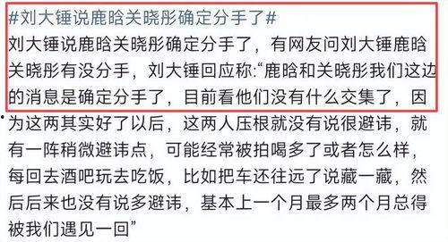 娱乐吃瓜酱年度报告