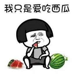 娱乐吃瓜圈
