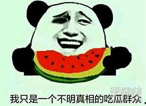 吃瓜娱乐怎么样