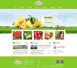 吃瓜百科网页入口官网,探索网页入口官网的趣味世界