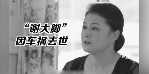 吃瓜娱乐圈的王子,娱乐圈的瓜田传奇